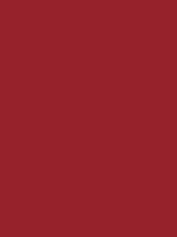 CHENILLE 12 5000M RED