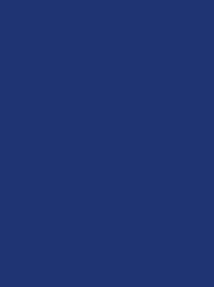 CHENILLE 12 5000M ROYAL BLUE