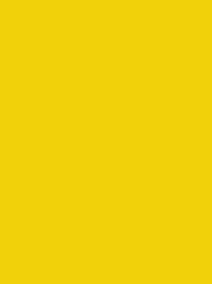 CHENILLE 12 5000M YELLOW