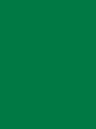 CHENILLE 12 5000M GREEN