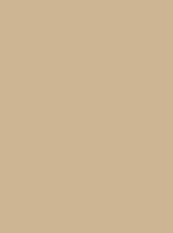 CHENILLE 12 5000M SAND