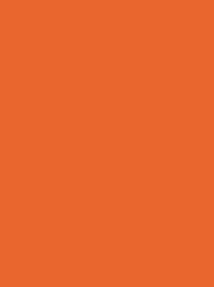 CHENILLE 12 5000M ORANGE
