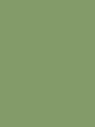 CHENILLE 12 5000M SAGE