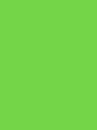 CHENILLE 12 5000M NEON GREEN