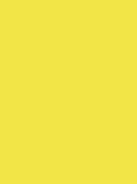 POLYOCEAN 1000M PRIMROSE