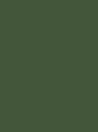 CLASSIC 40 5000M FOREST GREEN