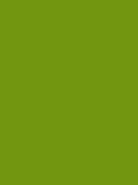 POLYNEON GREEN RECYCLED 40 5000M GRANNY SMITH
