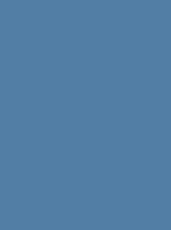 POLYNEON 40 5000M BLUE