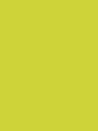 POLYNEON GREEN RECYCLED 40 5000M KEY LIME