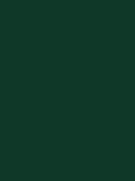 DECORA 12 300M SPOOL FOREST GREEN